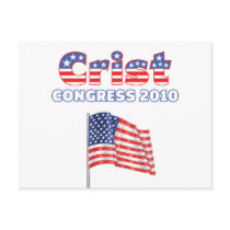 Crist Patriotic American Flag 2010 Elections Post Card