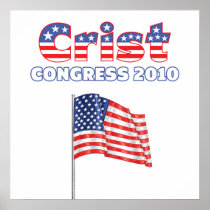 Crist Patriotic American Flag 2010 Elections Print