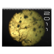 cristal planet wall calendar