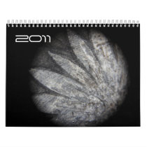 cristal planets wall calendars
