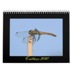 Critters 2010 calendar - Dragonflies and more