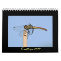 Critters 2010 calendar - Dragonflies and more