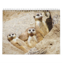 Critters and Such calendars