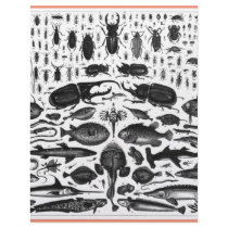 Critters letterhead