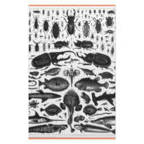 Critters stationery by ANTIQUITIES Critters stationery