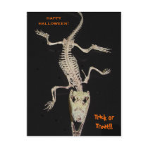 croc holiday postcards by holycrocodile croc holiday postcards