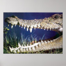 Crocs Poster