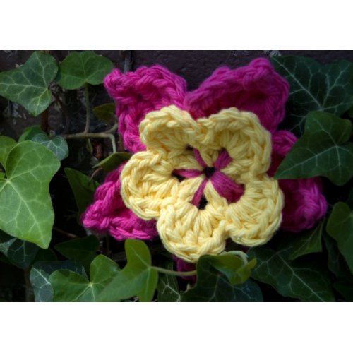Crochet Garden - Flower in the Ivy zazzle_card