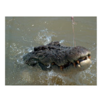 Crock posters