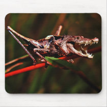 Crocket mousepad
