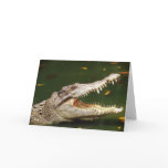Crocodile and Caiman from Junglewalk.com cards