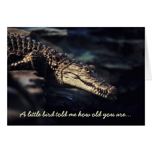 Crocodile birthday card | Zazzle