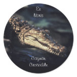 Crocodile bookplate sticker