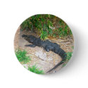 Crocodile buttons