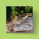 Crocodile Pin