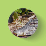 Crocodile Pin