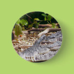 Crocodile Button