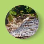 Crocodile Pins