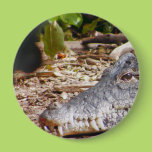 Crocodile Buttons