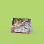 Crocodile Greeting Card