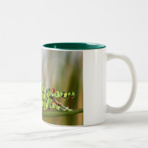 Crocodile Caterpillar mugs