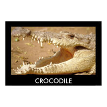 crocodile Jaws from JungleWalk.com posters