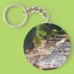 Crocodile Keychains