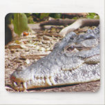 Crocodile Mouse Mats