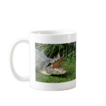 Crocodile Mugs