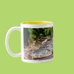 Crocodile Mugs