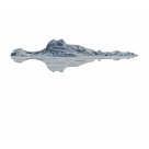 ladies_casual_ringer_tshirt - Crocodiles are the most advanced of all reptiles despite their prehistoric look.: Sizes  Available colors: whitenavy