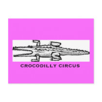 crocodilly circus postcards