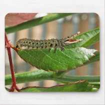 Crocopillar mousepad