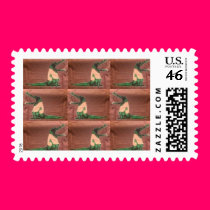 Crocs in Denial postage