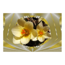 Crocus 20 'OOB' ~ print