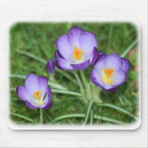 Crocus 8P32D-13 mousepads