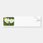 Crocus 8P77D-14 Bumper Stickers