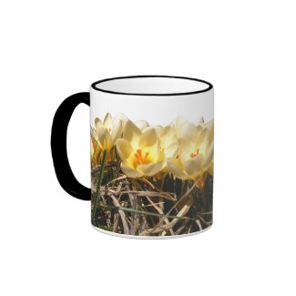 Crocus 96 ~ mug mug