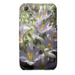 Crocus and Snowdrops iPhone 3 case