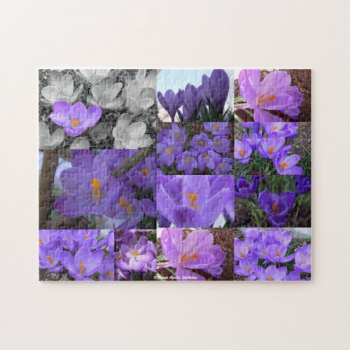 Crocus Collage-Puzzle puzzle