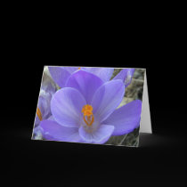 Crocus Easter Card