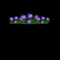 Crocus Floral T-shirt