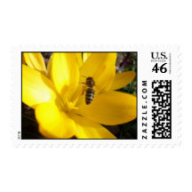 Crocus Flower Postage Stamp