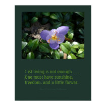 Crocus garden inspirational poster posters