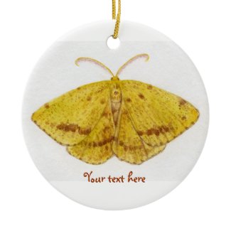 Crocus Geometer Moth Ornament ornament