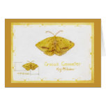 Crocus Geometer Moth watercolor Card