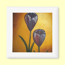 Crocus In Spring magnets