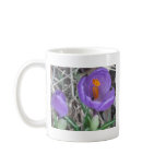 Crocus Mug