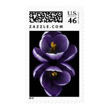 Crocus Pattern Postage Stamp