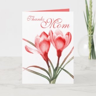 Crocus "Thanks Mom" pink red mothers card